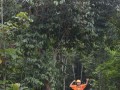 Tn DSC 4067